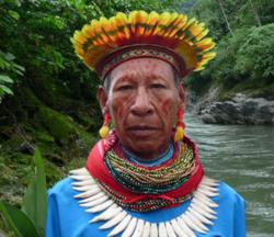 The Cofan are the remnants of a once numerous riverine culture in Ecuador and Colombia. Today, less than 2000 Cofan remain.